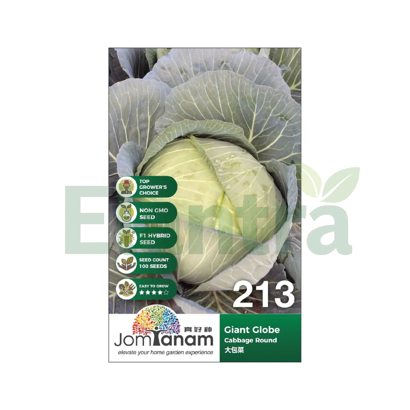 213 CABBAGE ROUND